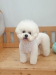 뭉크