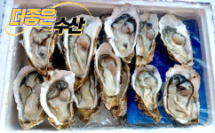 더좋은수산