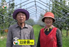프리미어 농짱