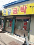 천일금박