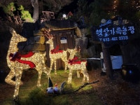 햇살가득농장펜션