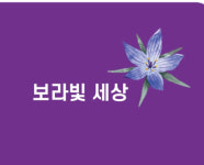 보라빛세상