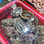 남천해변시장 청수상회