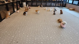 이재룡의 뭉개뭉개유치원