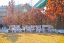 아이조아요양보호소 부산경남점