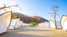 가평더캠프카라반글램핑
