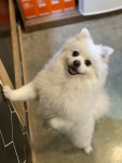 미어캣인더시티