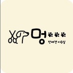 멍 반려견미용실