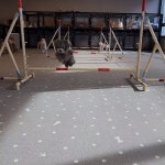 이재룡의 뭉개뭉개유치원