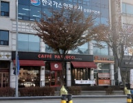 파스쿠찌 춘천거두점