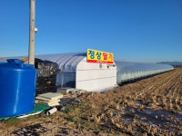 정상딸기농원