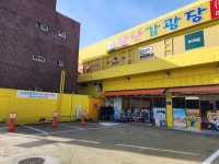 군포본플란트치과의원