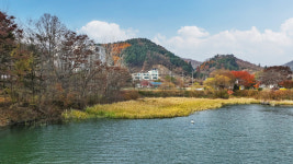 비버스 스크린골프 키즈풀빌라
