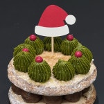 은지세 군자본점