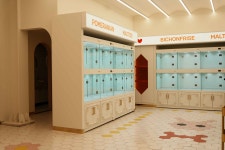 부산강아지분양 테디럽 명지본점