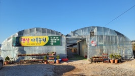 햇살다육농원