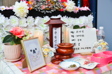 젠틀펫 문경점