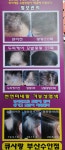 큐사랑 k뷰티헤어 동래수안점
