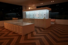 부산강아지분양 테디럽 명지본점