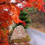 평창 별이빛나는밤에