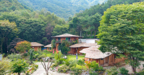 화천풀펜션 메타875