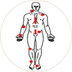 엔오셀턴컨설팅