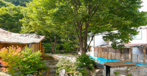 화천풀펜션 메타875