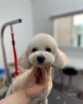 헤이라딘