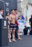 파라에스트라 주짓수MMA
