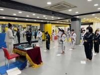 한국체대석사태풍태권도