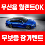 히든렌트카
