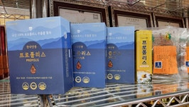 대도인삼사