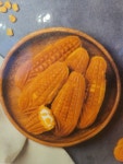 아띠몽 제천점