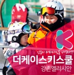 엘리시안 강촌 스키강습 더케이 스키스쿨