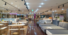 샘솟는가구백화점