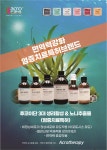 엔투코리아