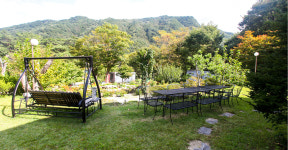 화천풀펜션 메타875