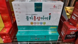 대도인삼사