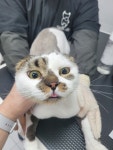 함께냥 평택점