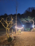 호수로1869.5