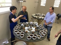 코페아 로스팅 팩토리