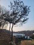 호수로1869.5