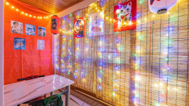 5959 애견동반펜션