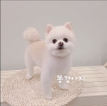 우리똥강아지