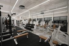 하이브휘트니스