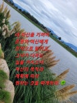 초이스타로&사주