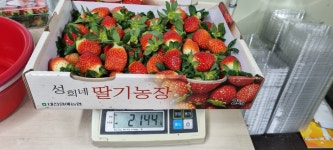 성희네딸기농장