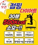 미니점핑체온다이어트