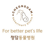 청담동물병원
