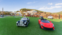 5959 애견동반펜션